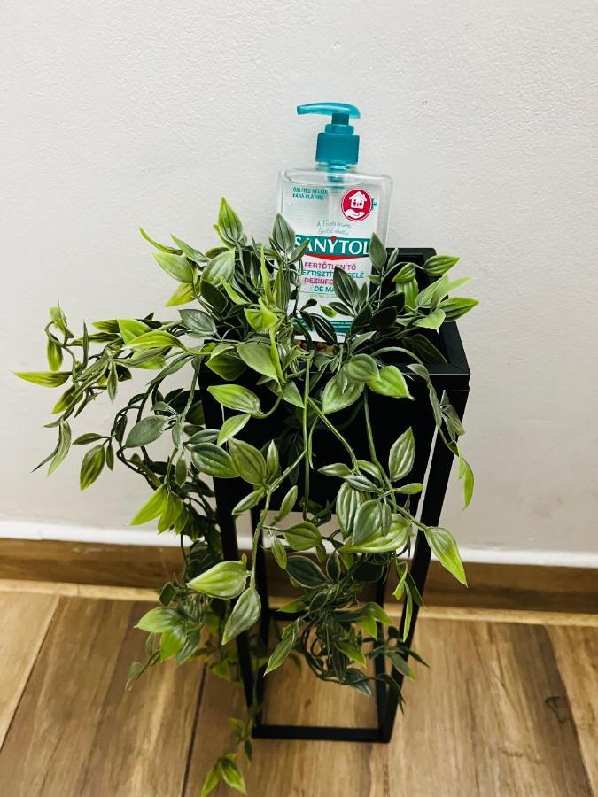 Apartmán Altheda Living Tineretului E8 Sučava Exteriér fotografie